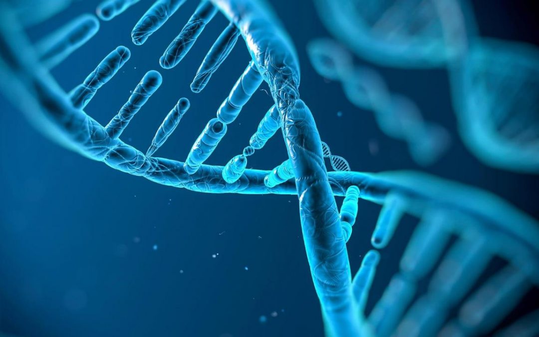4B – Busqueda de las causas genéticas de las diferencias entre individuos