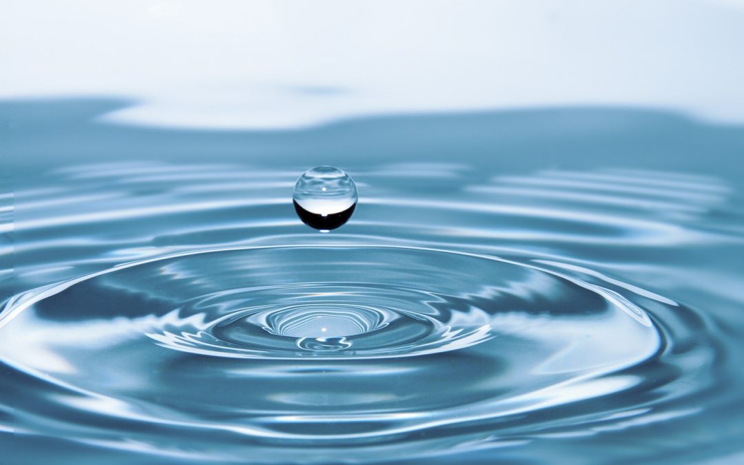 12N – Efectos de la eutrofización sobre la calidad del agua de los ecosistemas acuáticos