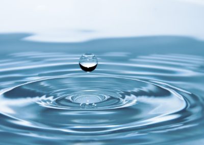12N – Efectos de la eutrofización sobre la calidad del agua de los ecosistemas acuáticos