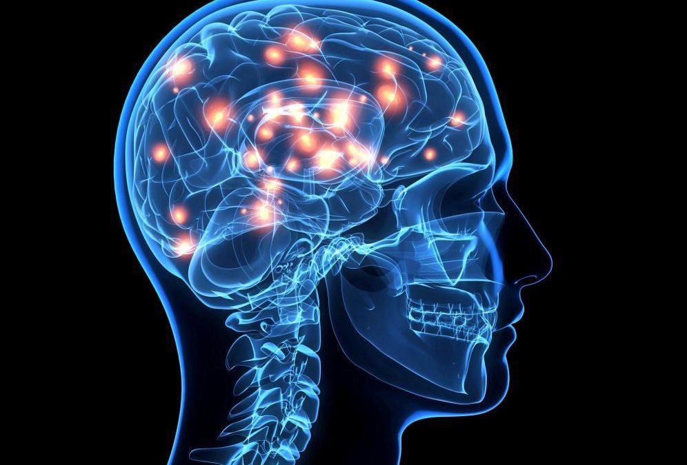 17E – Neuropsicología y vulnerabilidad social: Cerebros en crecimiento