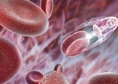26A-Nanomedicina: una nueva estrategia para el tratamiento del cáncer