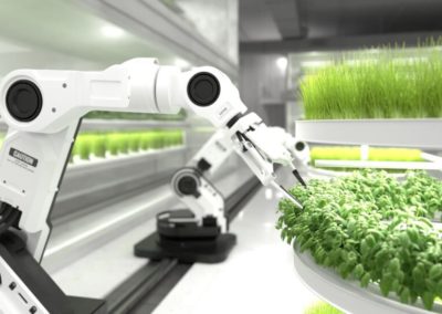 8F – Elaboración tradicional versus nuevas tecnologías aplicadas en la producción de alimentos. Calidad nutricional y funcional